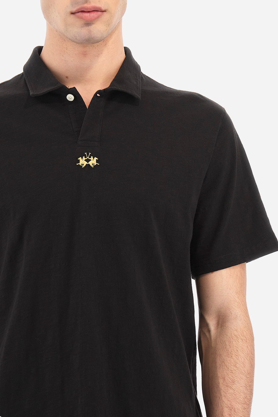 Men's polo shirt in a regular fit - Polo 19-42 - carryover | La Martina - Official Online Shop